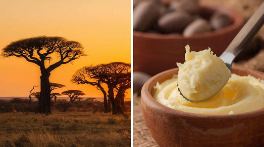 Fair-Trade Shea Butter: supporting over 3 million women across West Africa